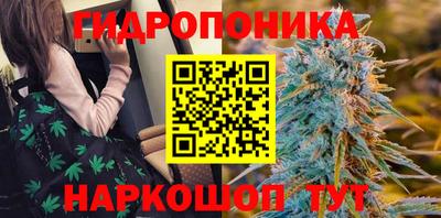ешки Славгород