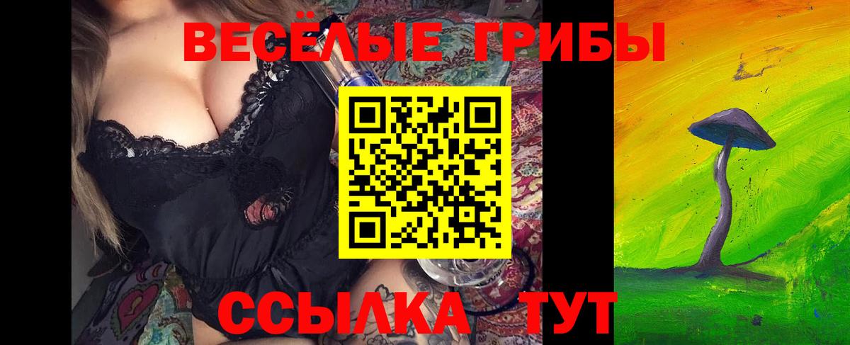 Псилоцибиновые грибы MAGIC MUSHROOMS Архангельск