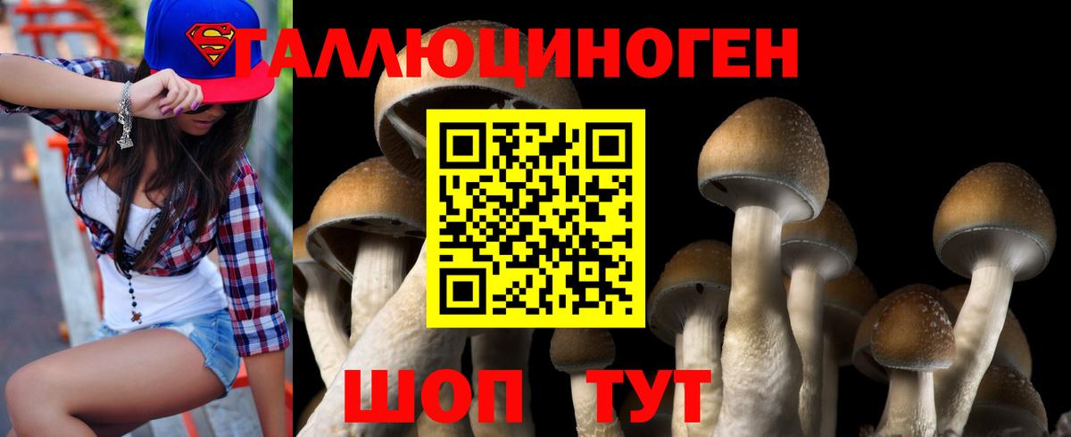Архангельск  Псилоцибиновые грибы ЛСД  Вход с VPN  Псилоцибиновые грибы Psilocybine cubensis 